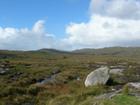 On the road to Sligo.jpg